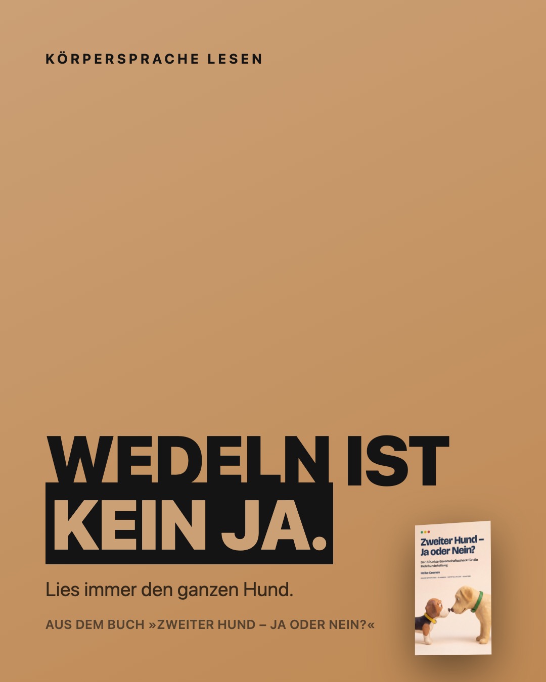 Impuls-Post aus Zweiter Hund – Ja oder Nein?: Wedeln ist kein Ja.