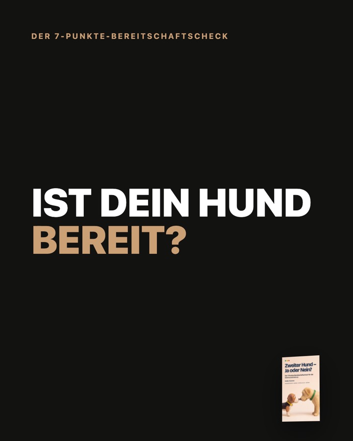 Karussell-Slide 1 von 8