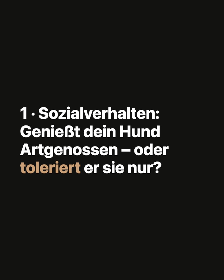 Karussell-Slide 2 von 8