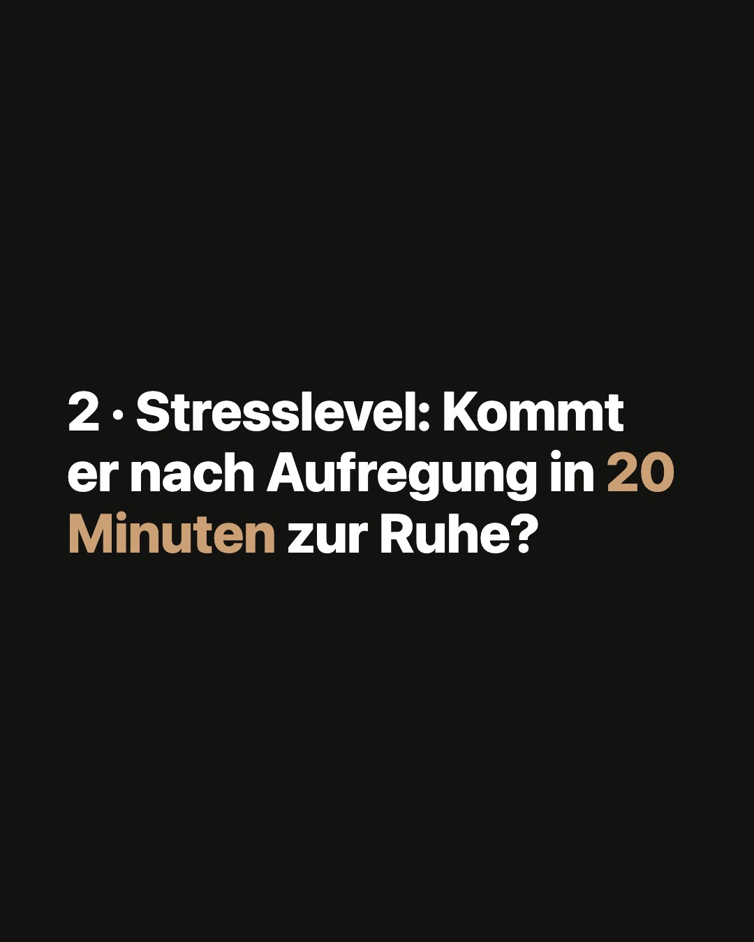 Karussell-Slide 3 von 8