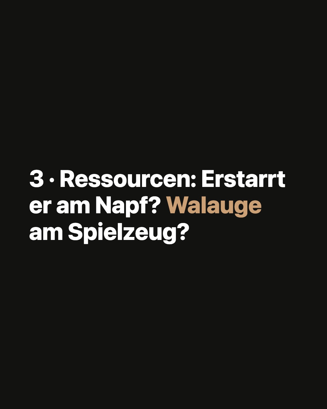 Karussell-Slide 4 von 8
