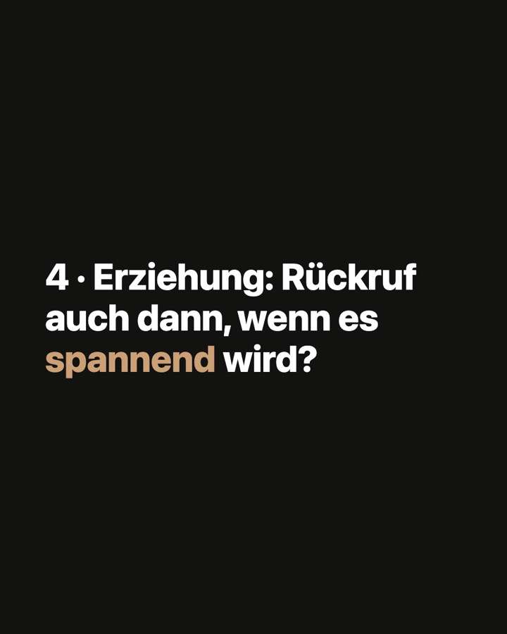 Karussell-Slide 5 von 8