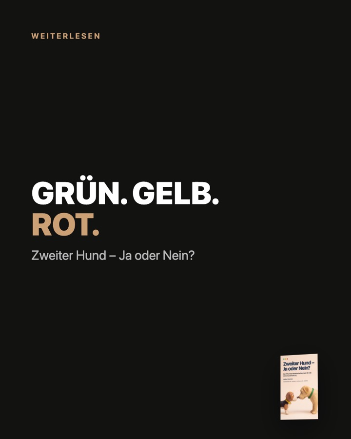 Karussell-Slide 8 von 8